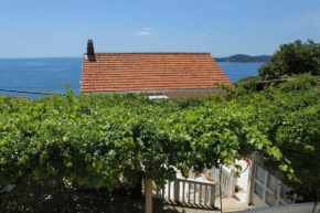 Гостиница Apartments with a parking space Vrbica, Dubrovnik - 9008  Дубровник